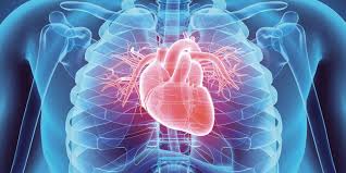 Methylene Blue And Heart Health