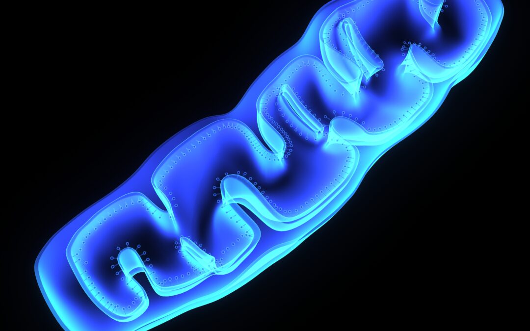 Azul de Metileno: El Secreto para un Envejecimiento Saludable y Energía Celular